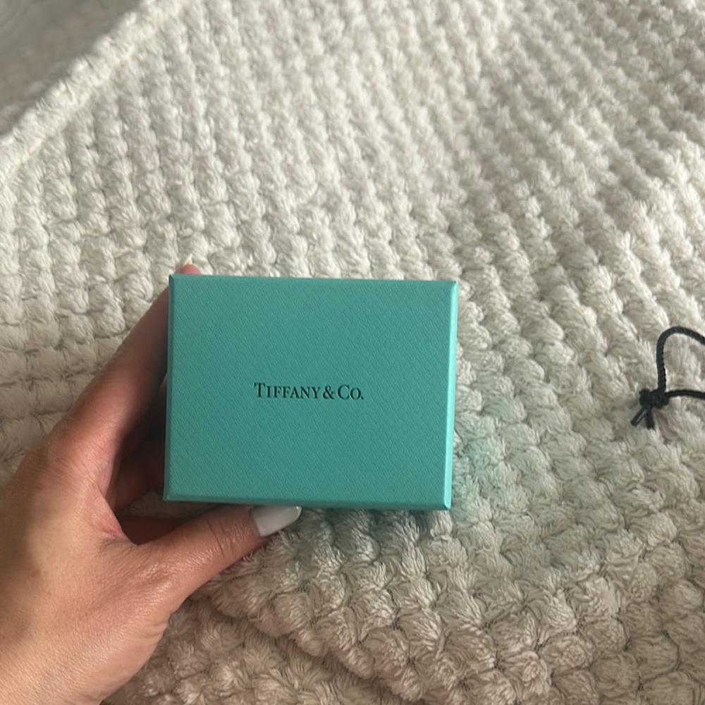 Tiffany & Co. Turquoise Gift Box